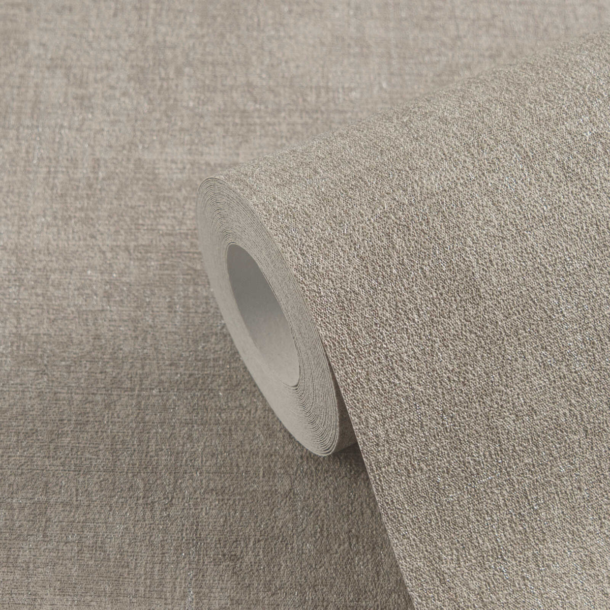 The Graphite Verse | Earthy Brown & Shimmering Silver Luxe