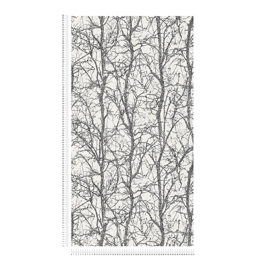 The Ginger Atrium | Deep Black & Luminous White Luxe