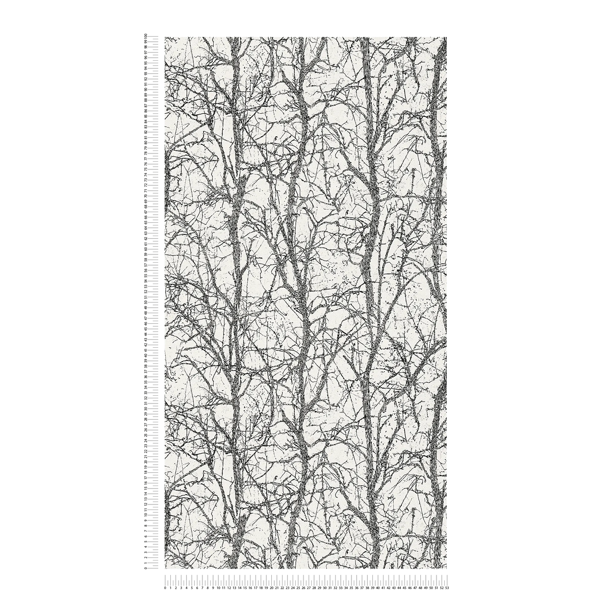 The Ginger Atrium | Deep Black & Luminous White Luxe