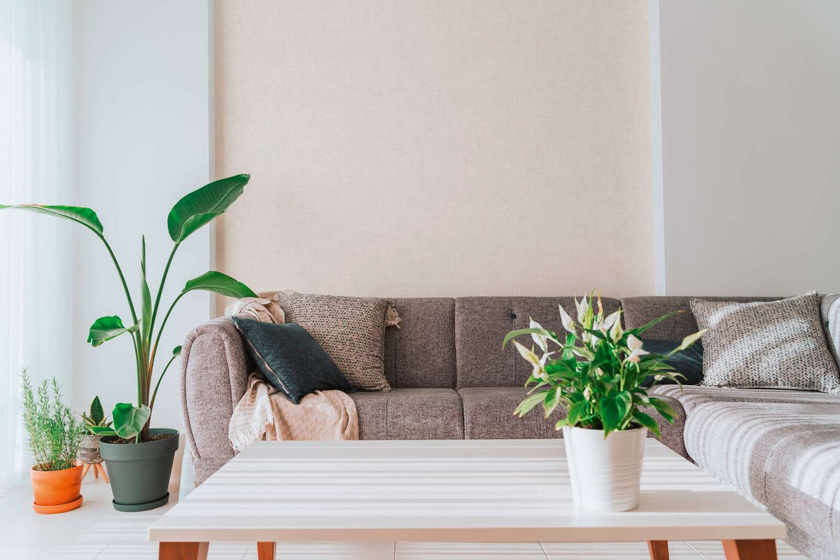 The Meadow Casement | Smoked Grey Luxe