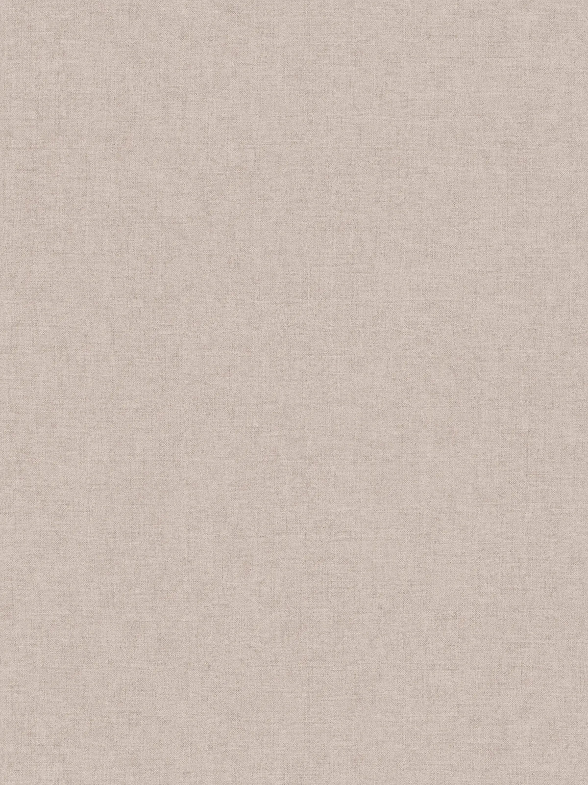 The Apricot Veil | Warm Beige & Earthy Brown Luxe