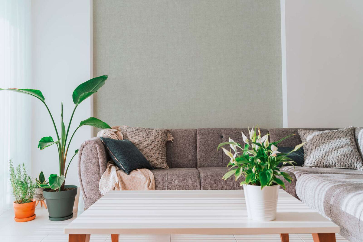 The Moss Colonnade | Smoked Grey Luxe