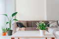 The Bramble Cloister | Cream & Smoked Grey Luxe
