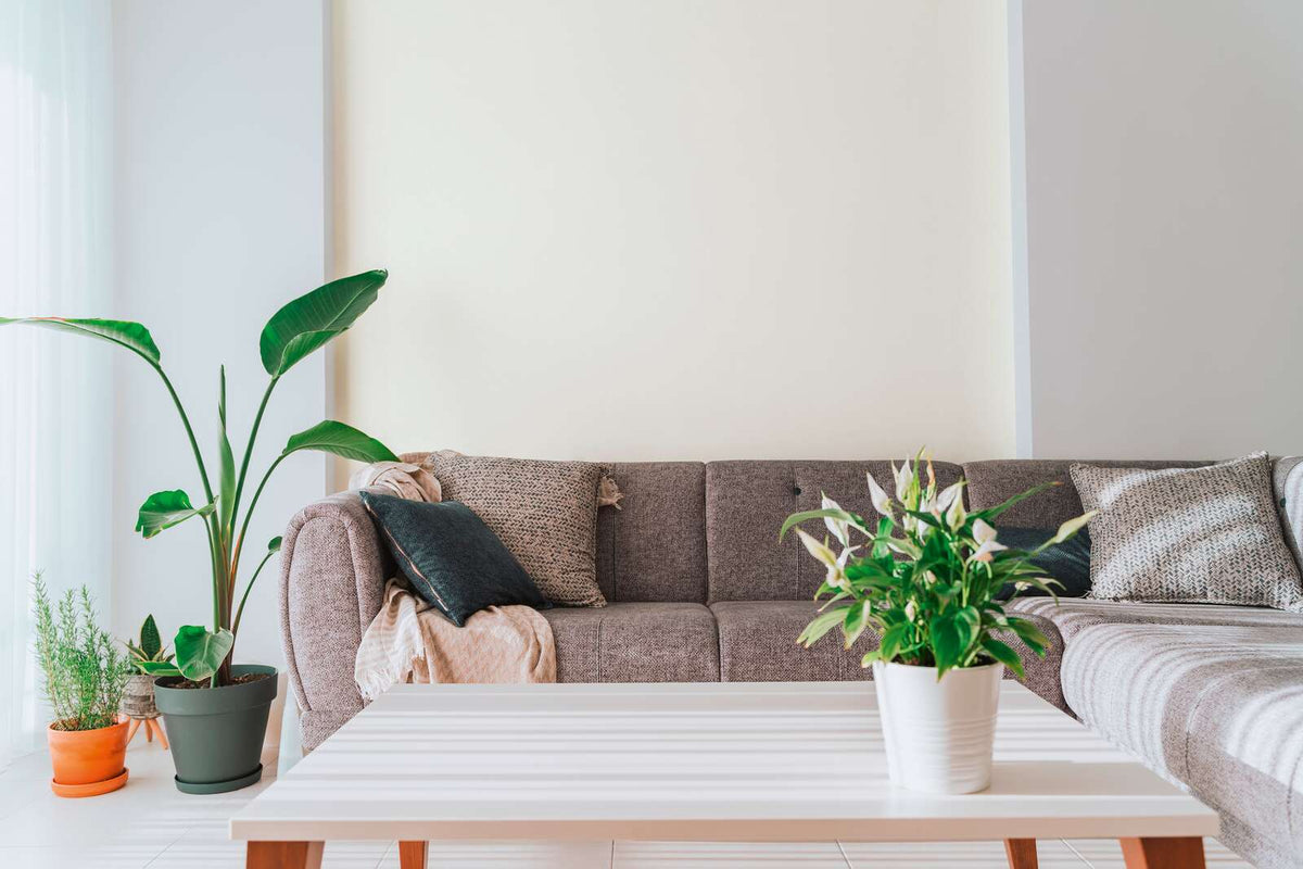 The Bramble Cloister | Cream & Smoked Grey Luxe