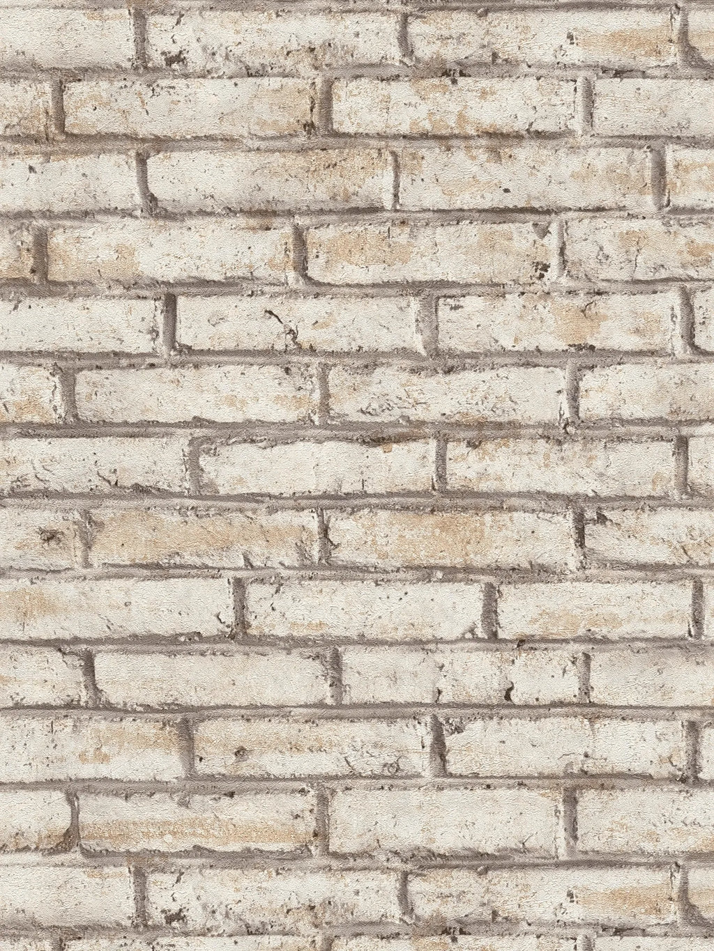 The Canvas Scriptorium | Warm Beige & Cream Luxe