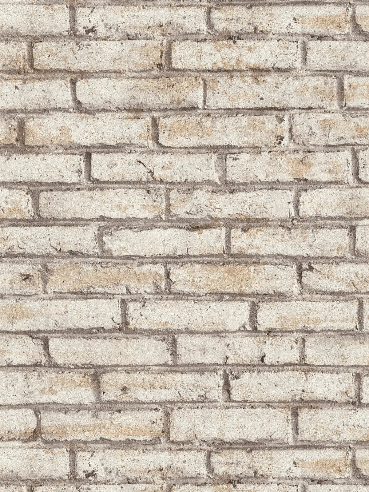 The Canvas Scriptorium | Warm Beige & Cream Luxe