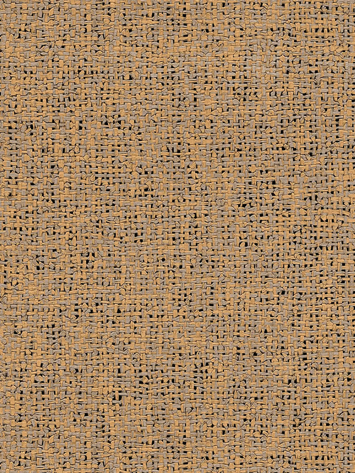 The Canvas Salon | Warm Beige & Smoked Grey Luxe