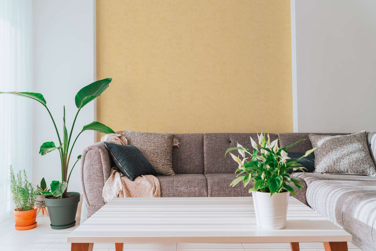 The Walnut Archive | Terracotta & Sun-Kissed Gold Luxe