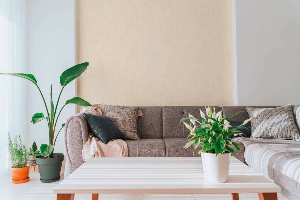 The Maple Infirmary | Warm Beige Luxe
