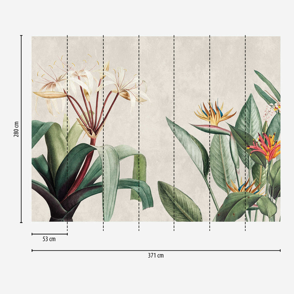 The Bird of Paradise, bird of paradise botanical mural on a plaster-look ground, A.S. Création view 7