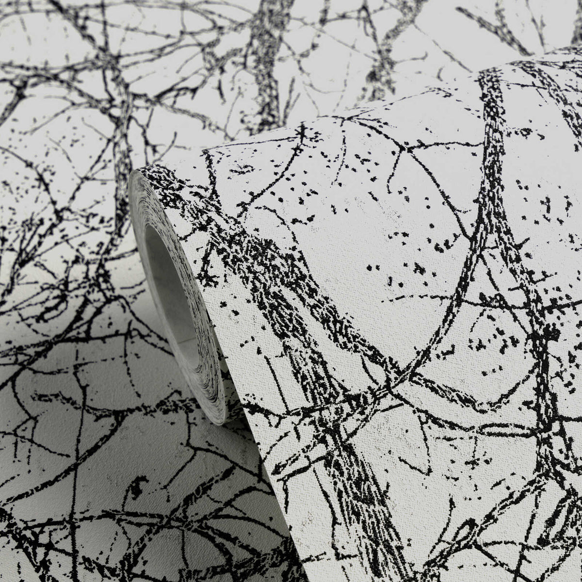 The Ginger Atrium | Deep Black & Luminous White Luxe