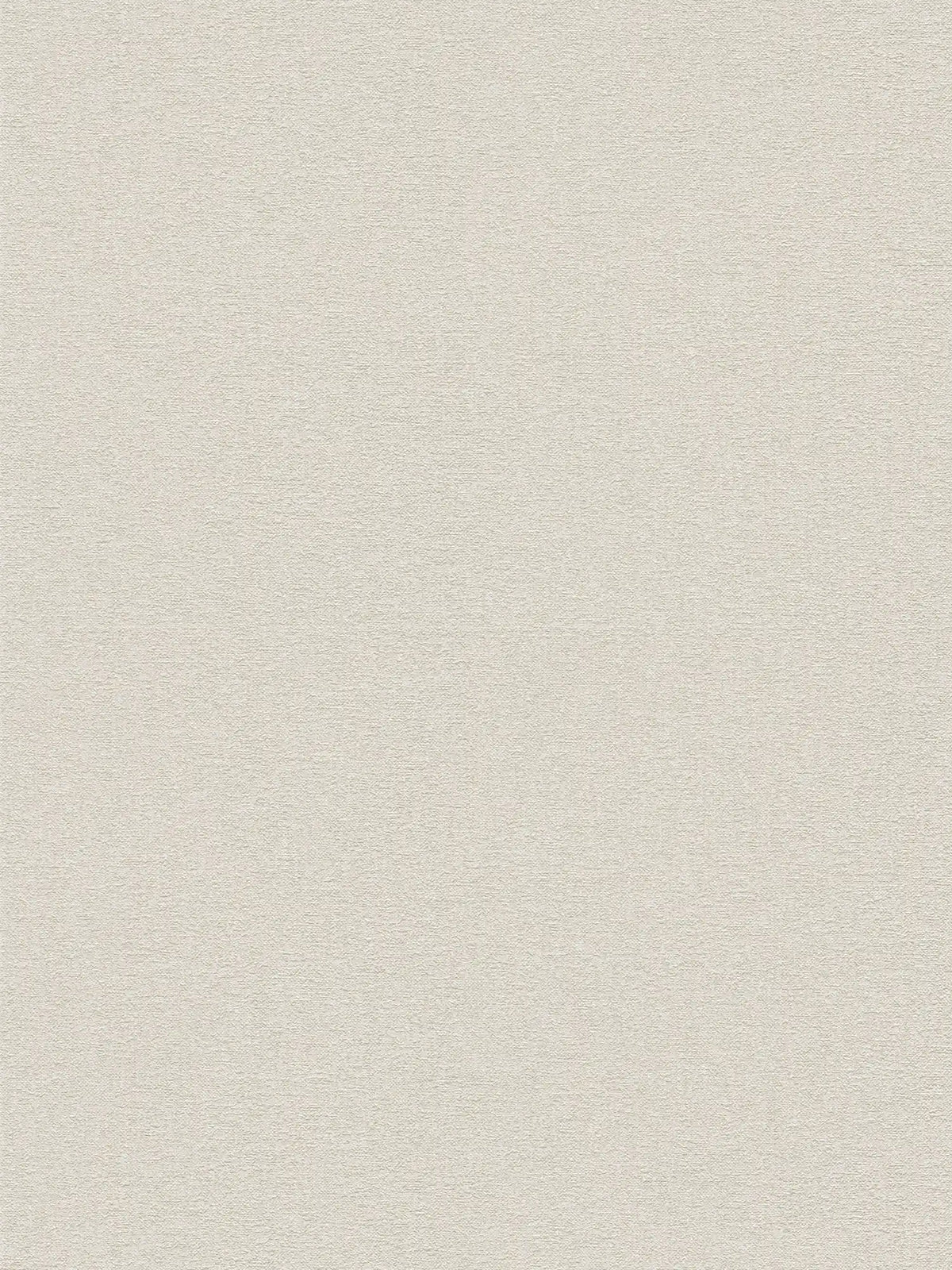 The Cloud Plaster | Warm Beige & Smoked Grey Luxe