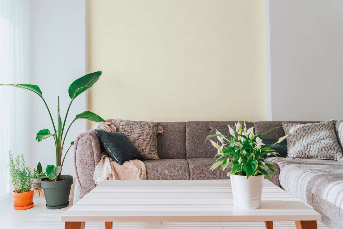 The Bronze Archive | Smoked Grey Luxe