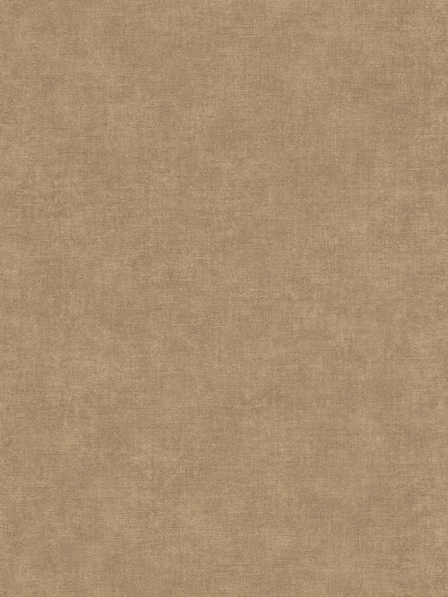 The Ash Conservatory | Earthy Brown Luxe