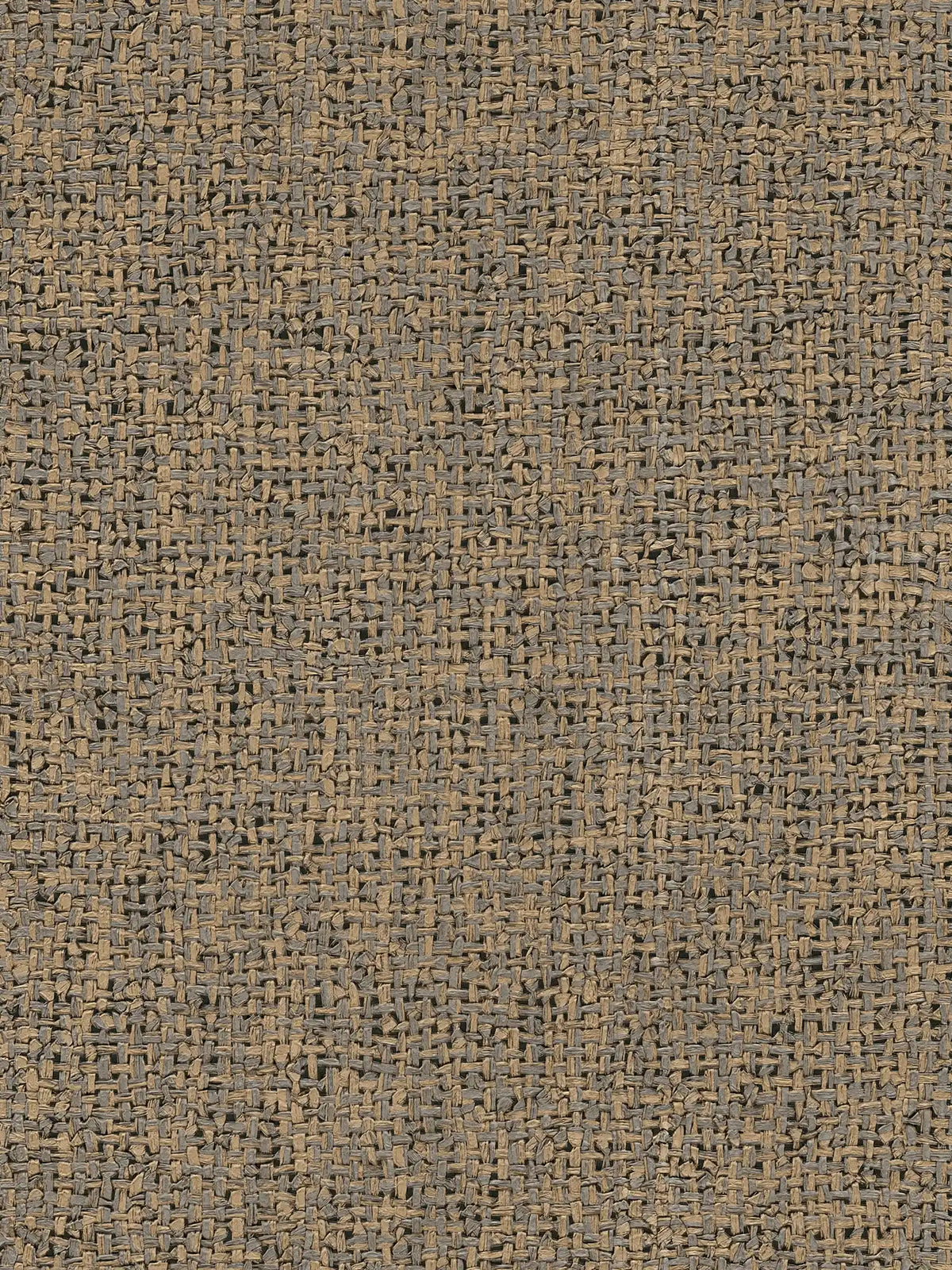 The Canvas Salon | Beige Warm Beige & Smoked Grey Luxe