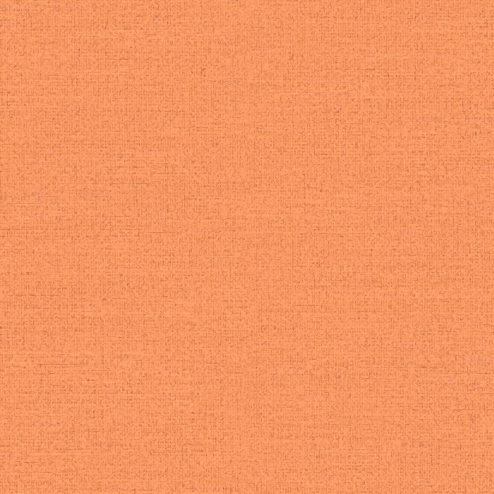 The Paper Cloister | Terracotta Luxe