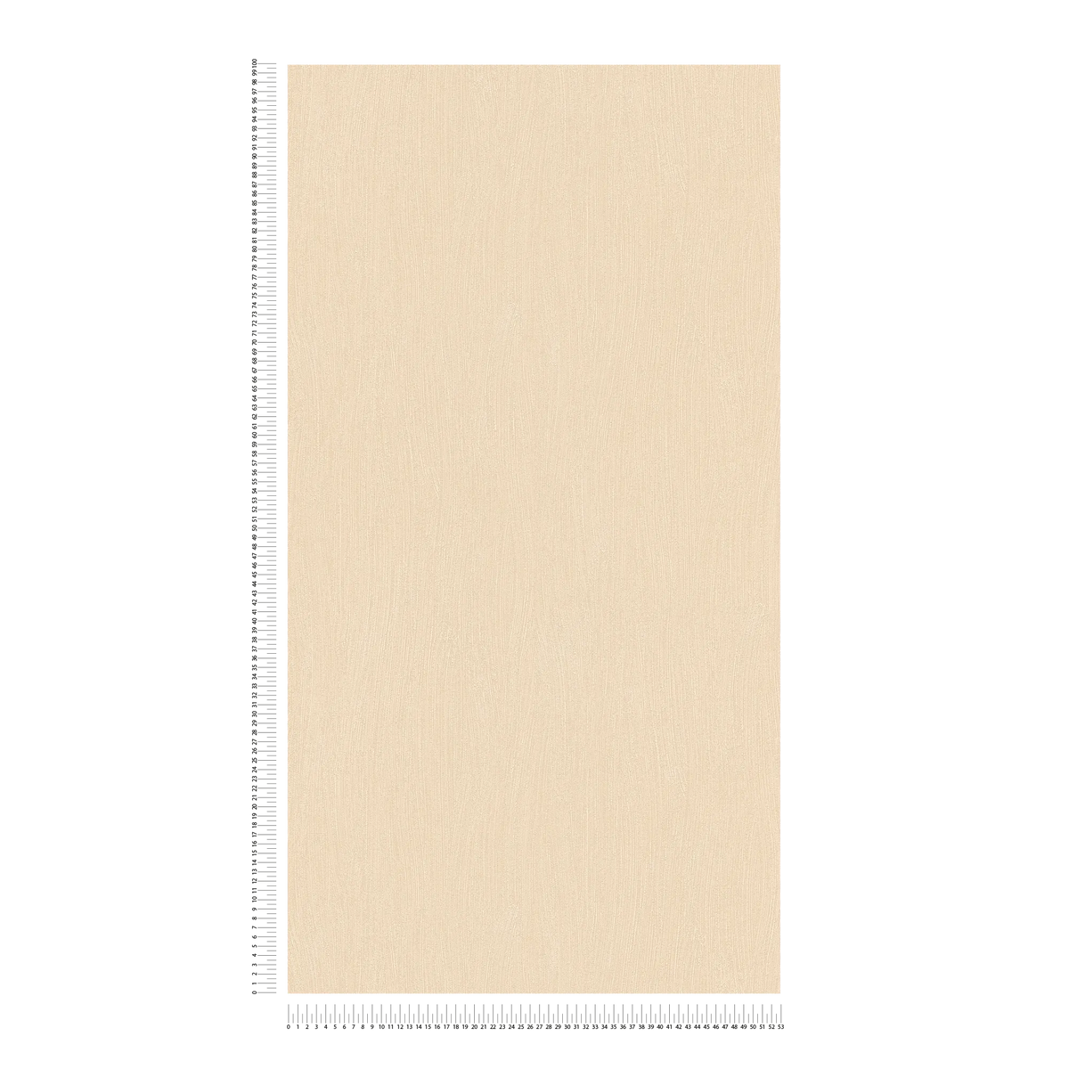 The Coral Stillroom | Warm Beige & Cream Luxe