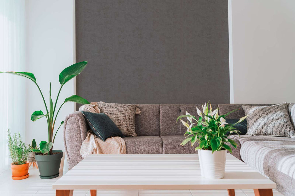 The Wisteria Oratory | Deep Black & Smoked Grey Luxe