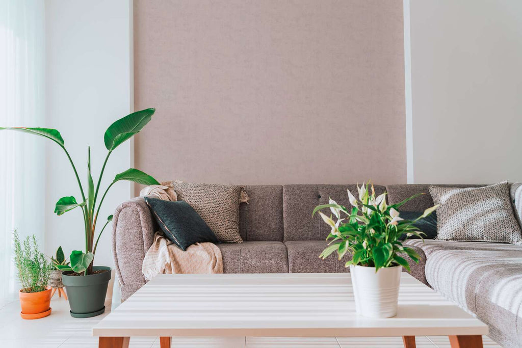 The Zinc Hall | Smoked Grey & Violet Luxe