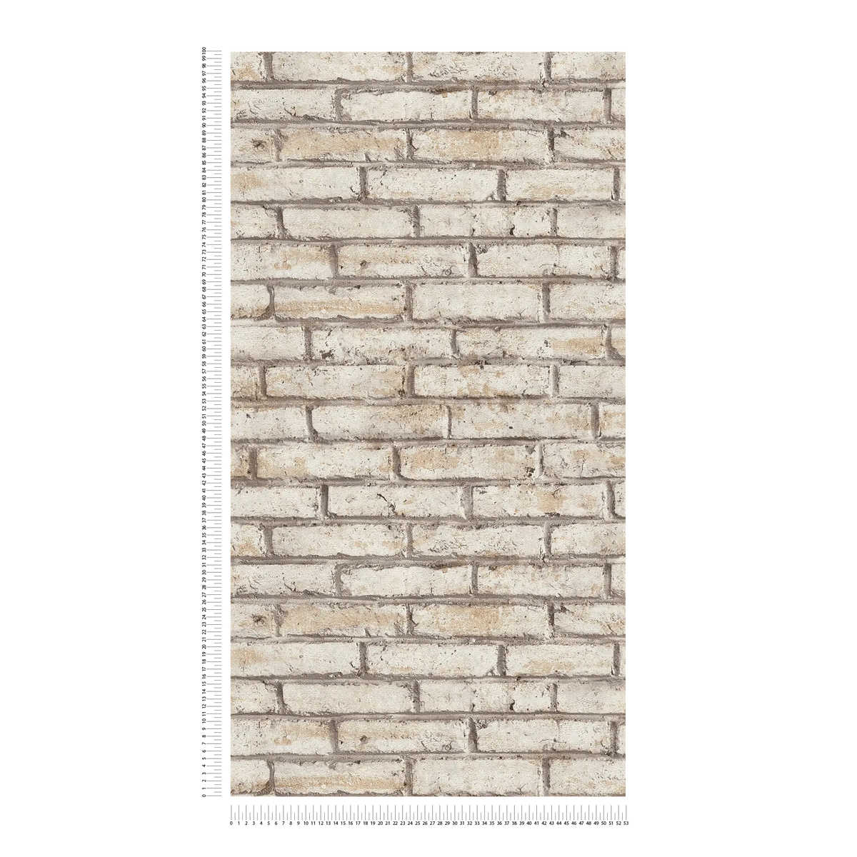 The Canvas Scriptorium | Warm Beige & Cream Luxe
