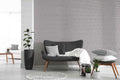 The Crimson Undercroft | Smoked Grey & Luminous White Luxe