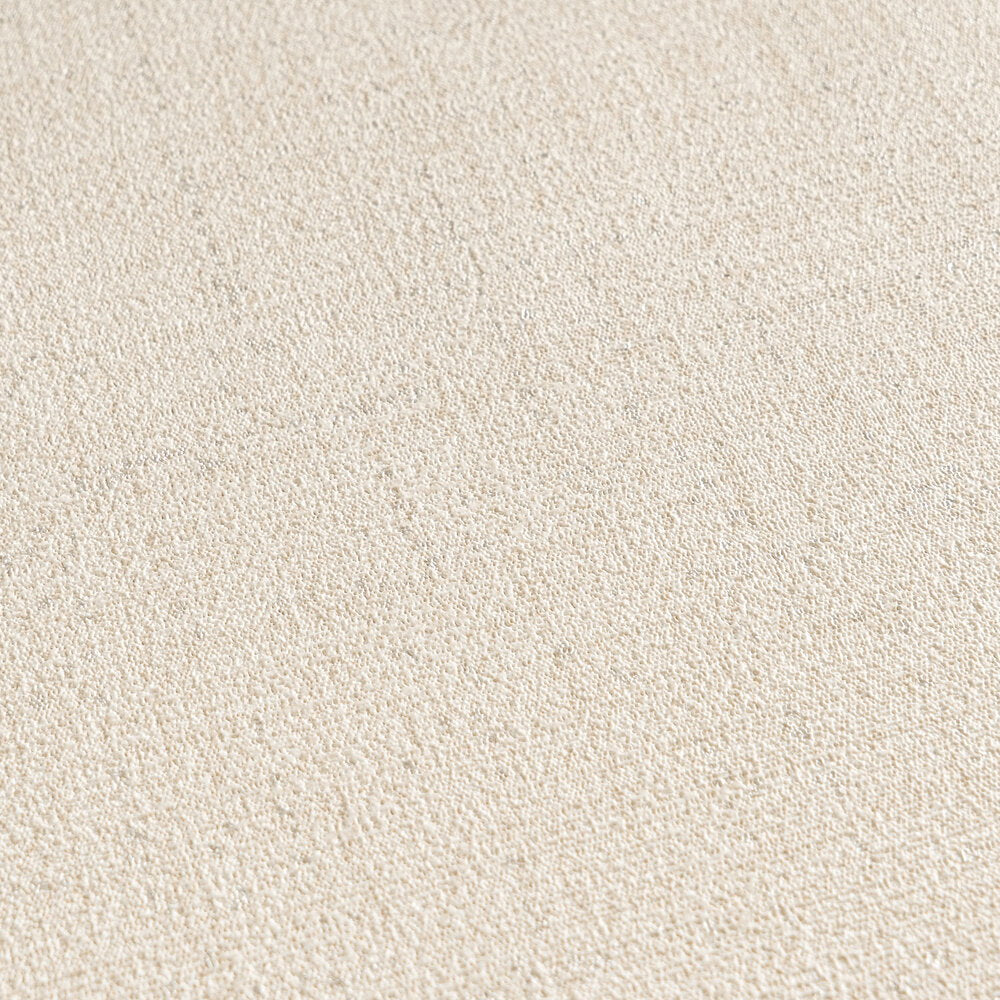 The Basalt Salon | Warm Beige & Cream Luxe