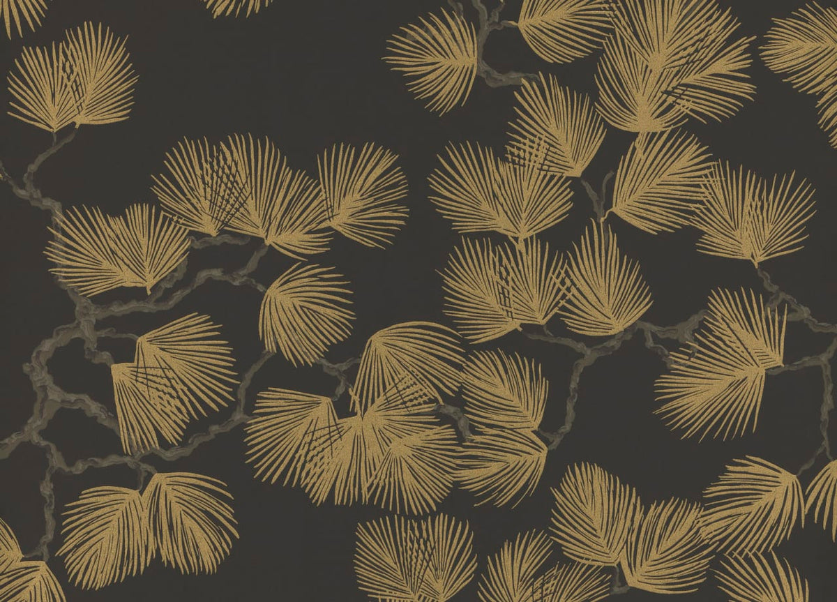 The Pine Cloister | Black Luxe