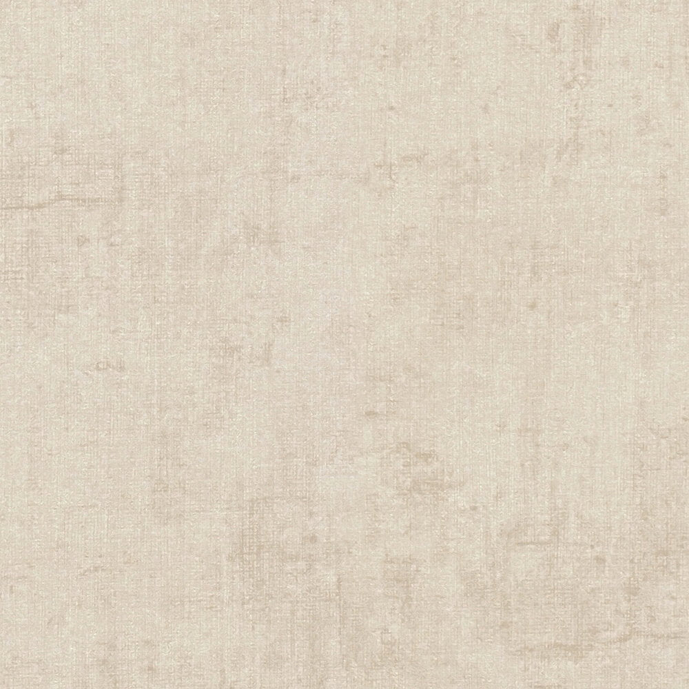 The Vanilla Oratory | Warm Beige & Cream Luxe