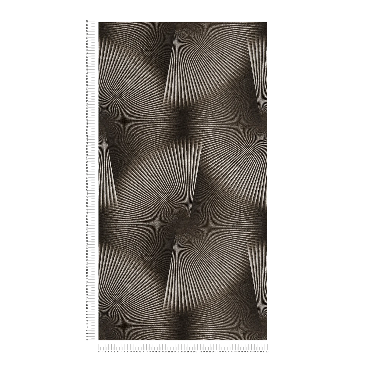 The Balsam Court | Deep Black Luxe