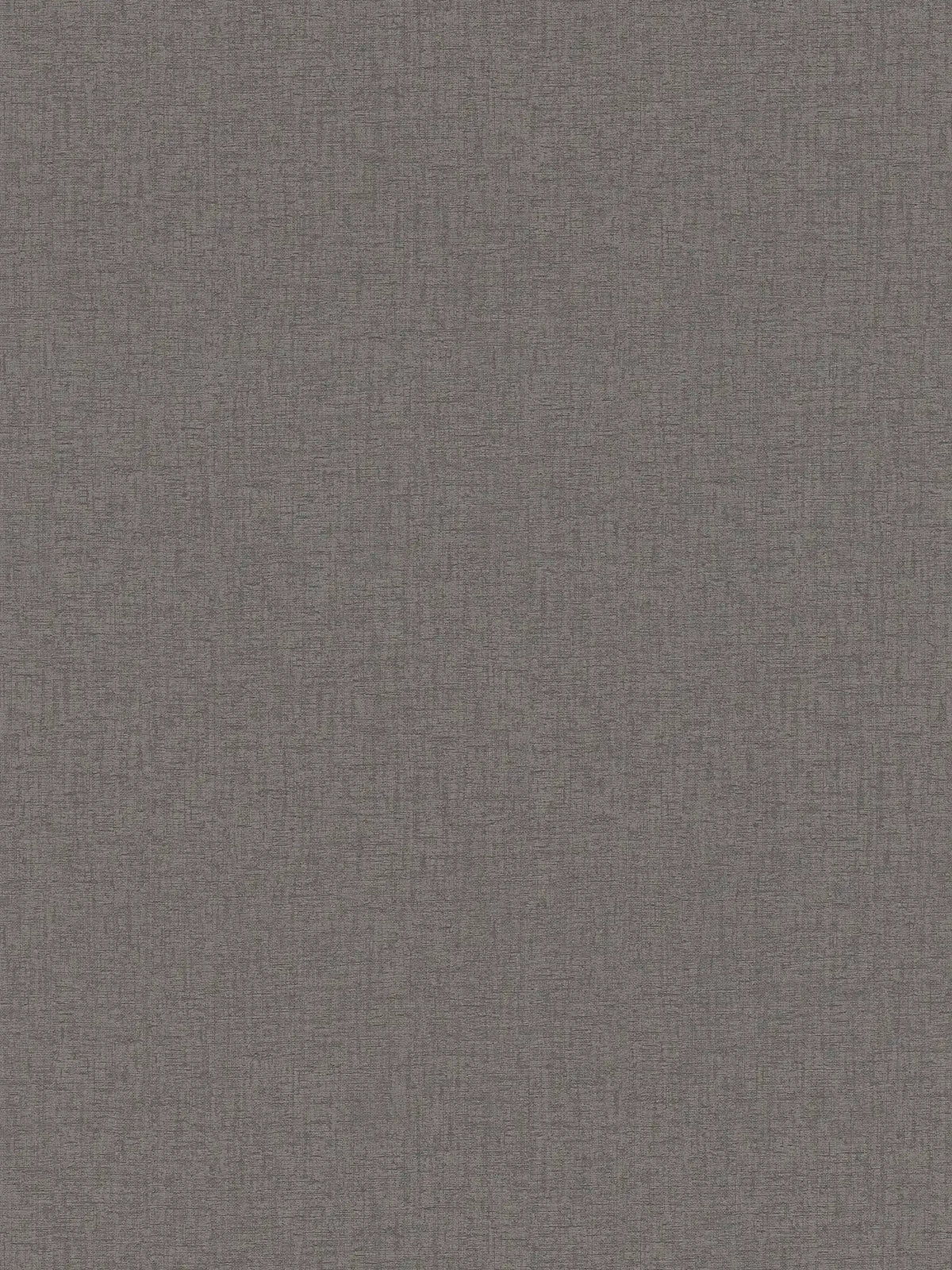 The Soft Plaster A | Earthy Brown Luxe