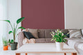 The Blush Studio | Violet & Crimson Luxe
