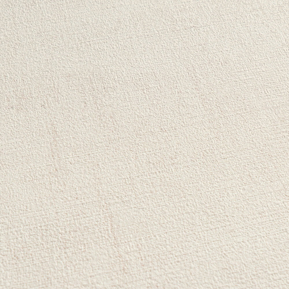 The Husk Oratory | Warm Beige & Cream Luxe