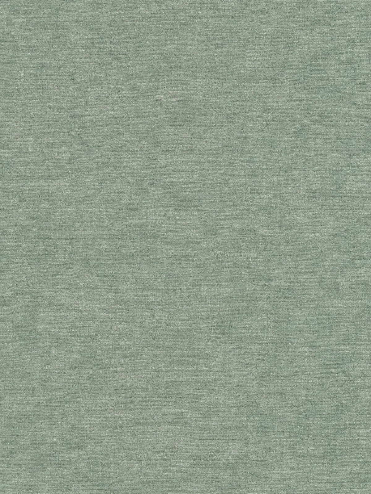 The Ash Conservatory | Sage Luxe