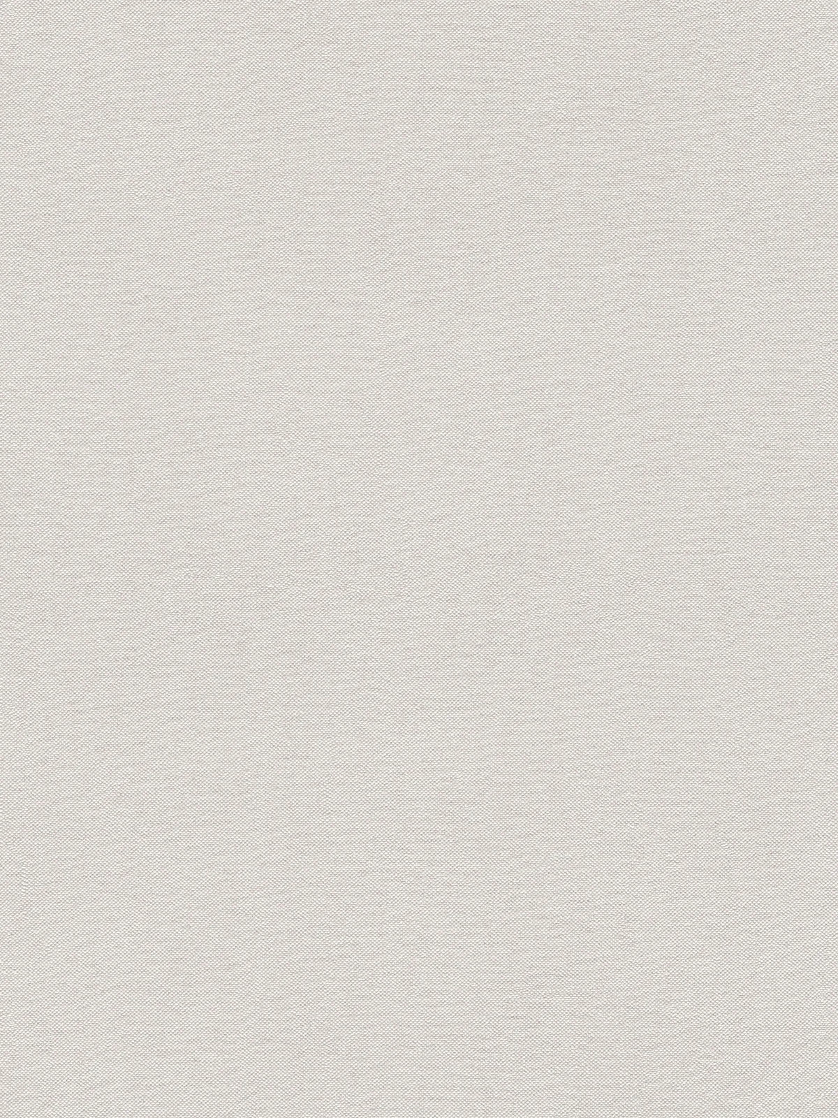 The Coral Conservatory | Warm Beige & Smoked Grey Luxe