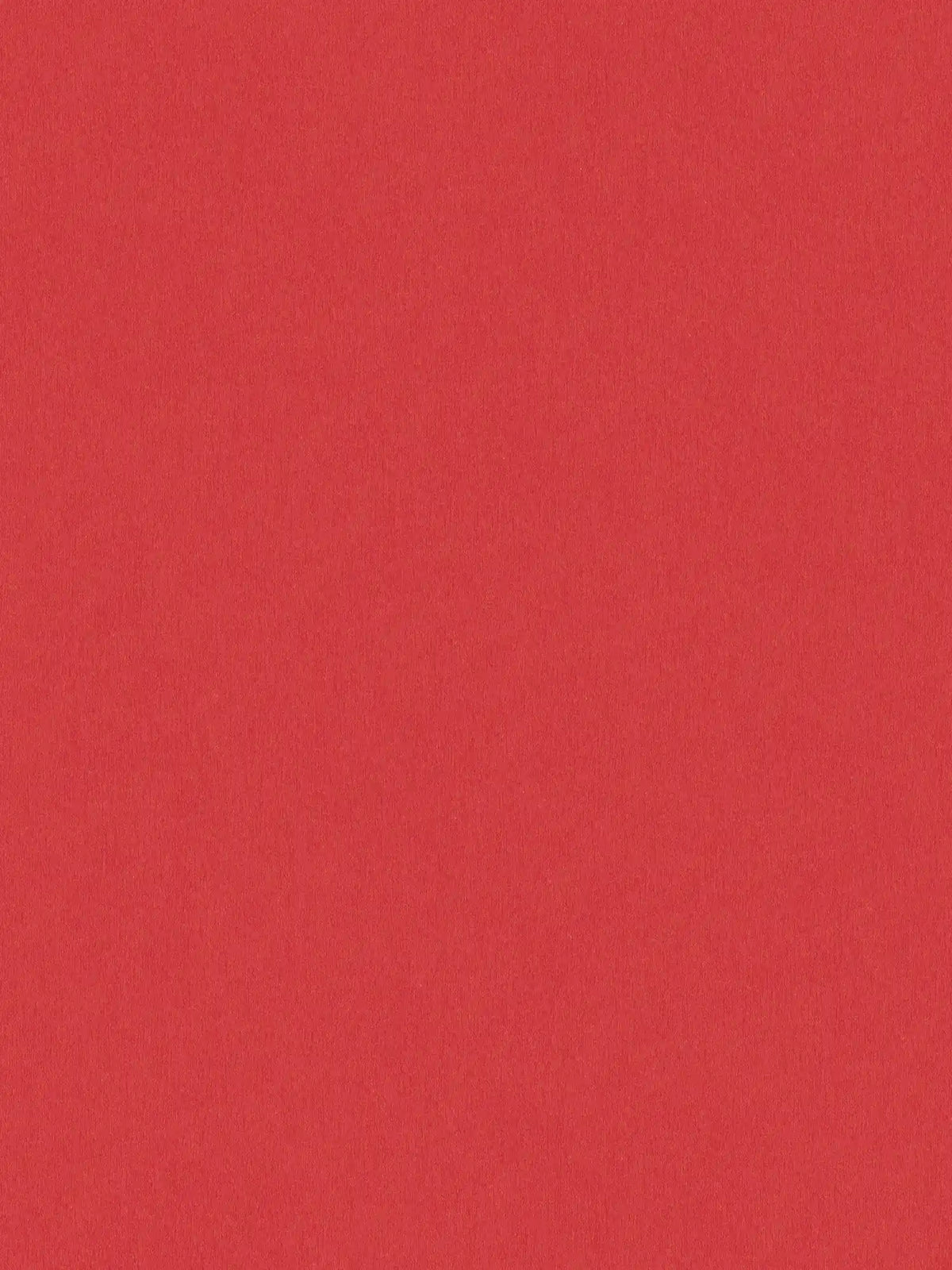 The Elm Atelier Luxe — Red packshot