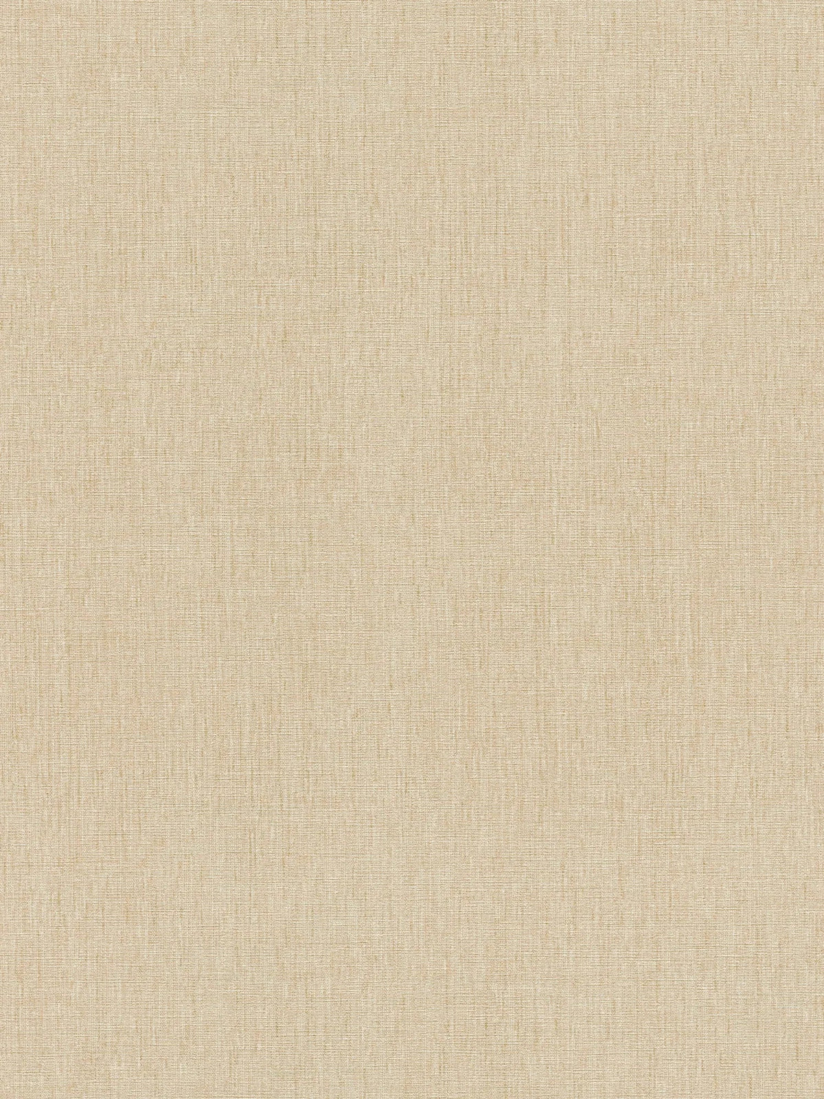The Pale Slub A | Warm Beige Luxe
