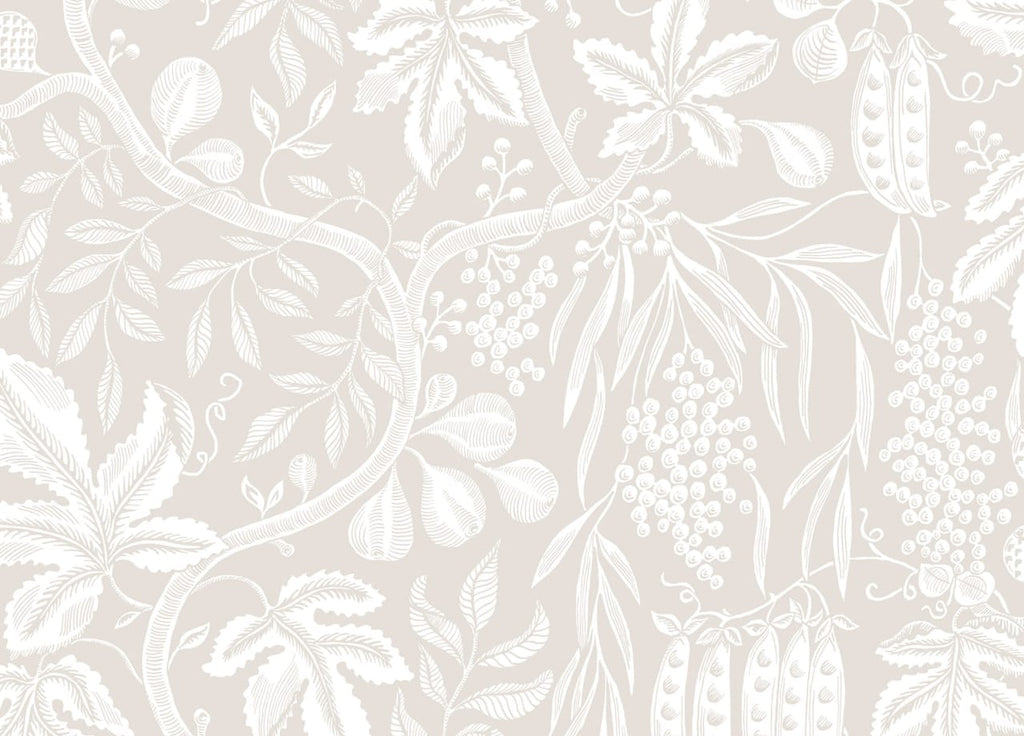 The Fig Cloister | Sandstone Luxe