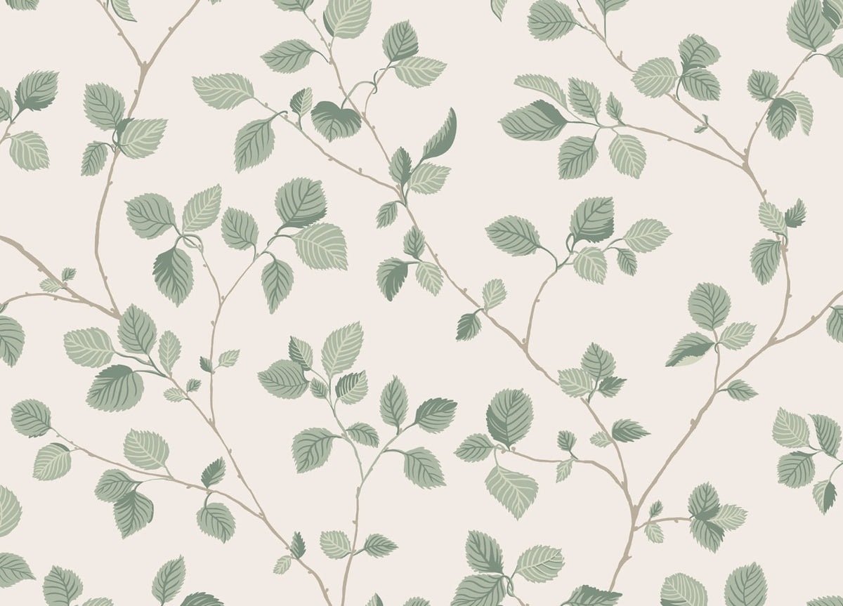 The Beech Canopy | Garden Green Luxe