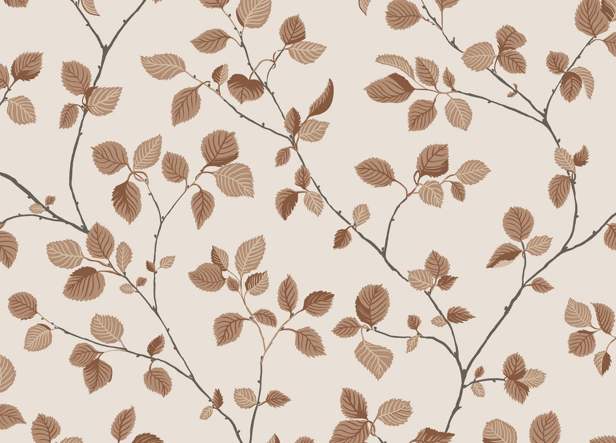 The Beech Canopy | Terracotta Luxe