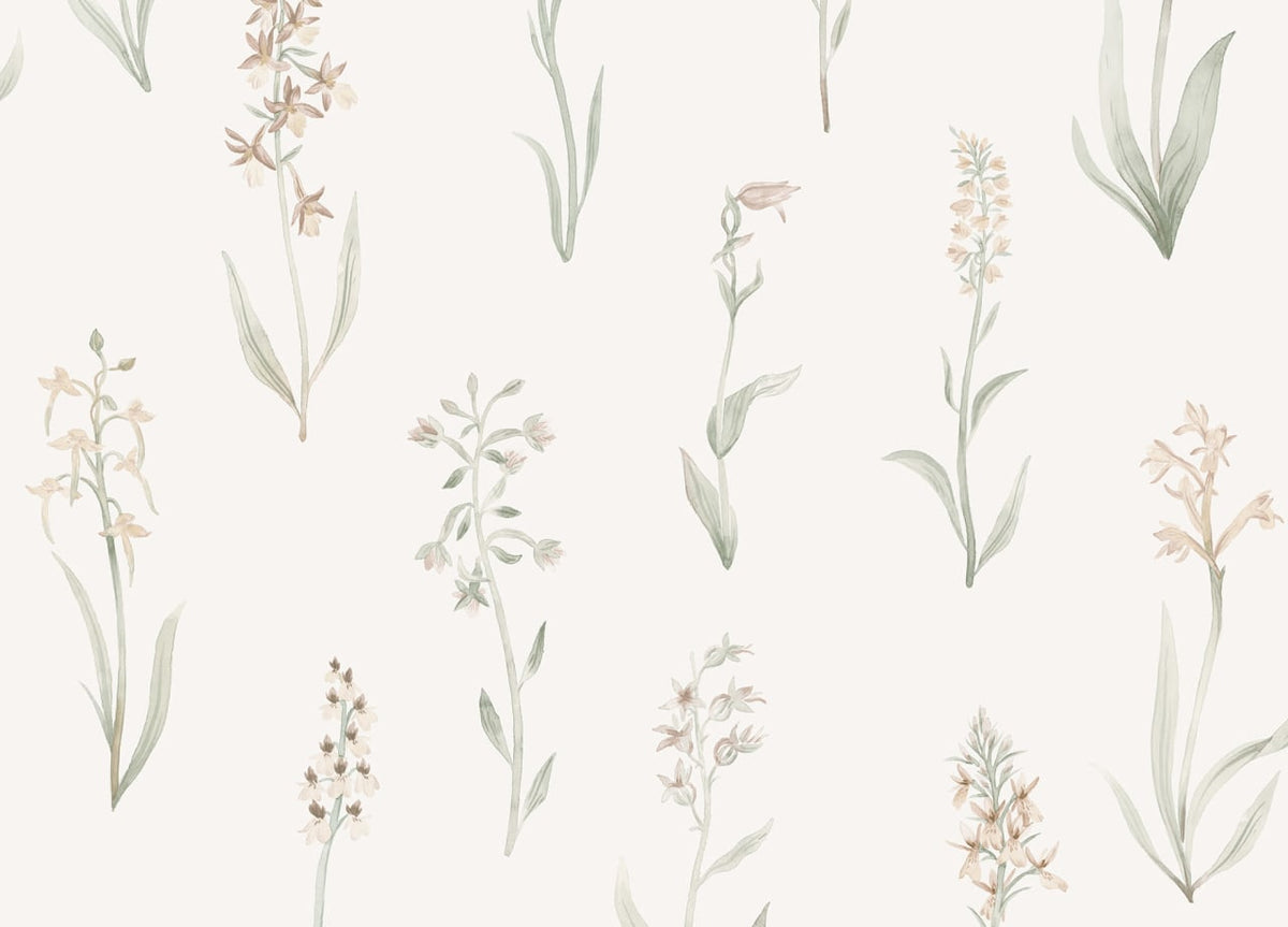 The Klint Parlour | Blush Luxe