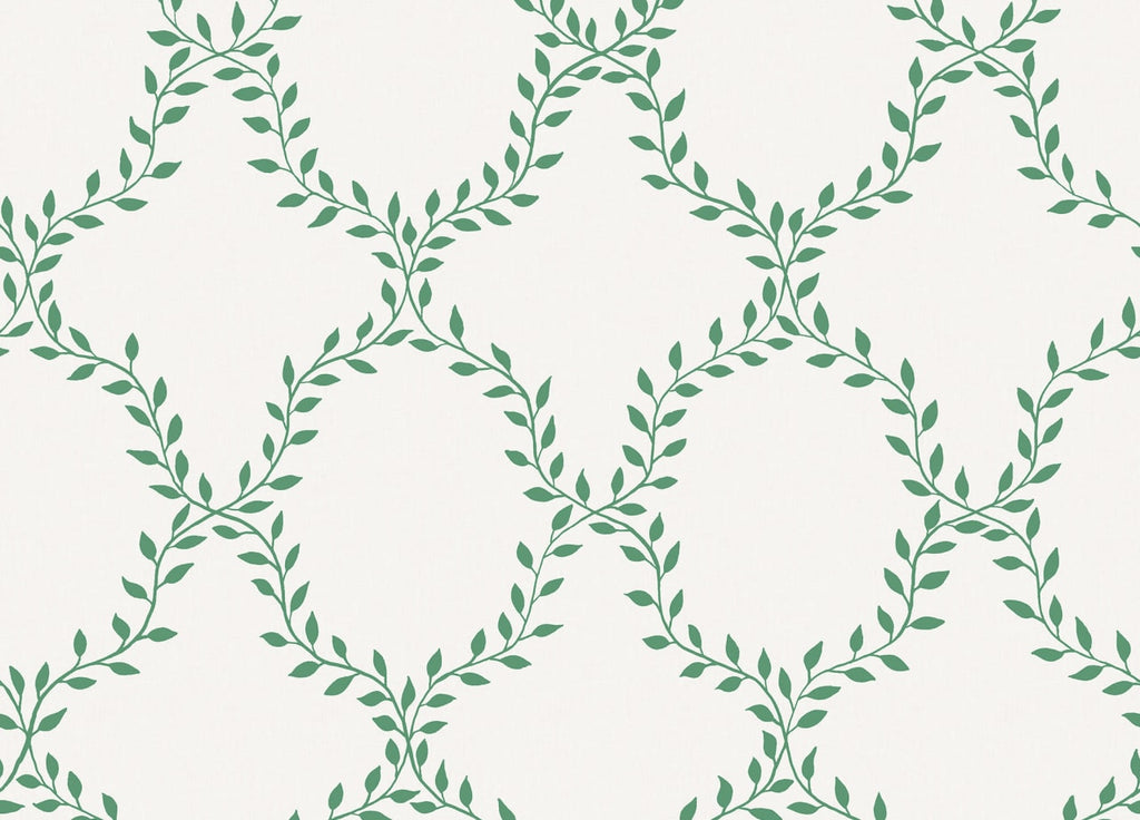 The Dalaro Shell | Green Luxe