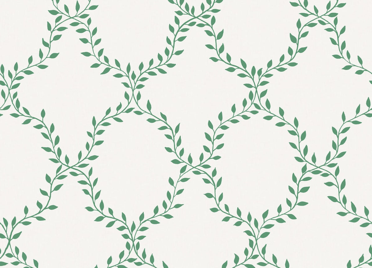 The Dalaro Shell | Green Luxe
