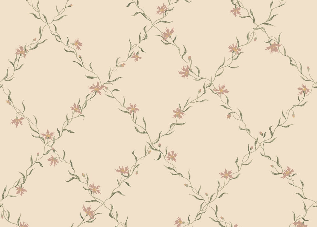 The Oland Quiet | Dusty Pink Luxe