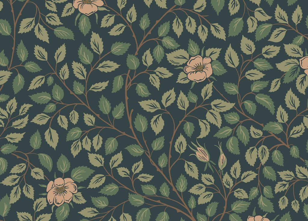The Sun Court | Midnight Blue Luxe