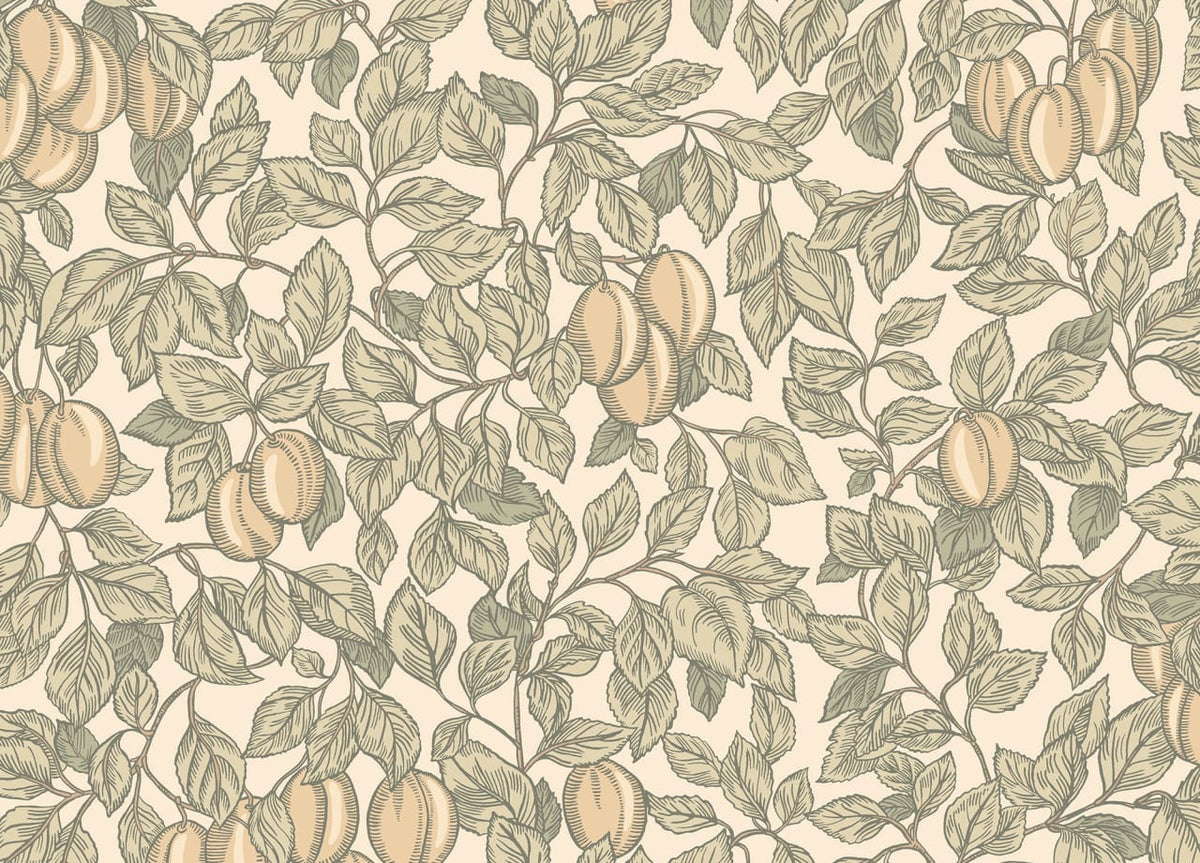 The Oland Arcade | Oat Luxe