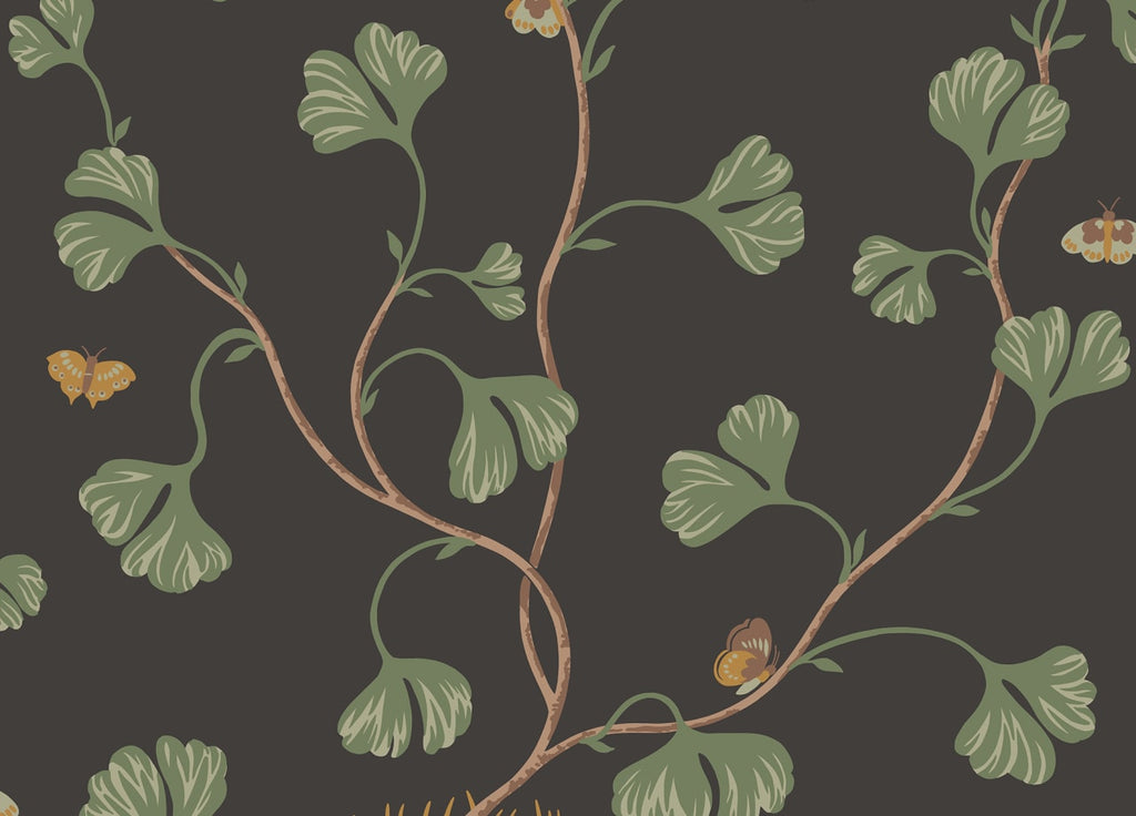 The Quiet Ledger | Charcoal Luxe