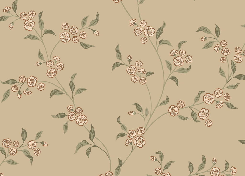 The Grain Softroom | Clay Luxe