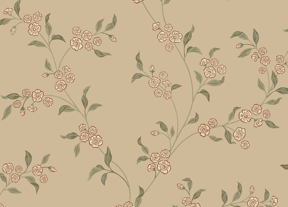 The Grain Softroom | Clay Luxe