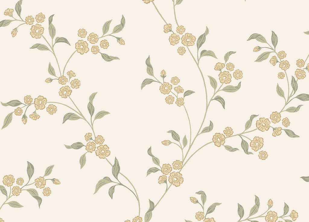 The Grain Softroom | Oat Luxe