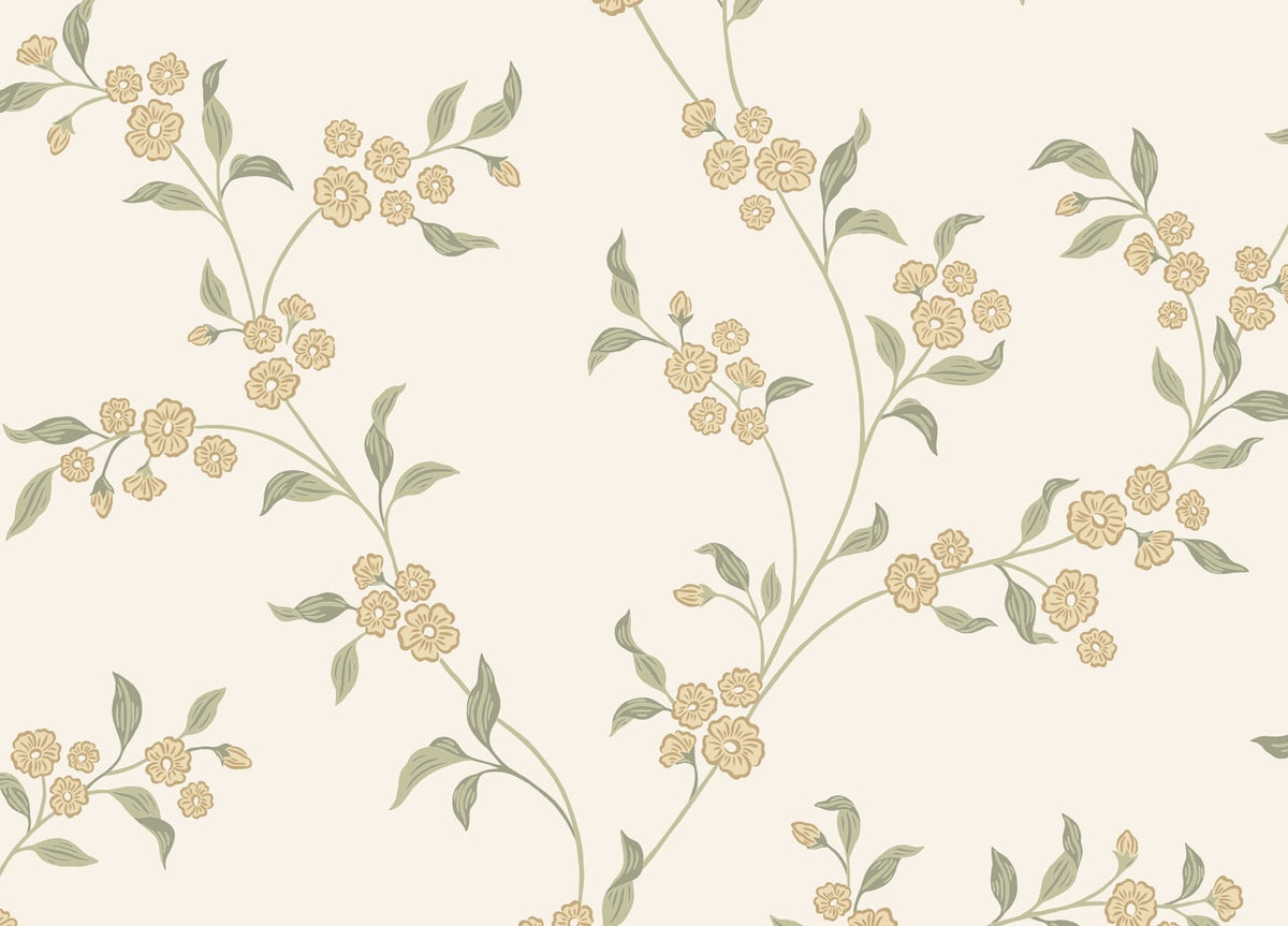 The Grain Softroom | Oat Luxe